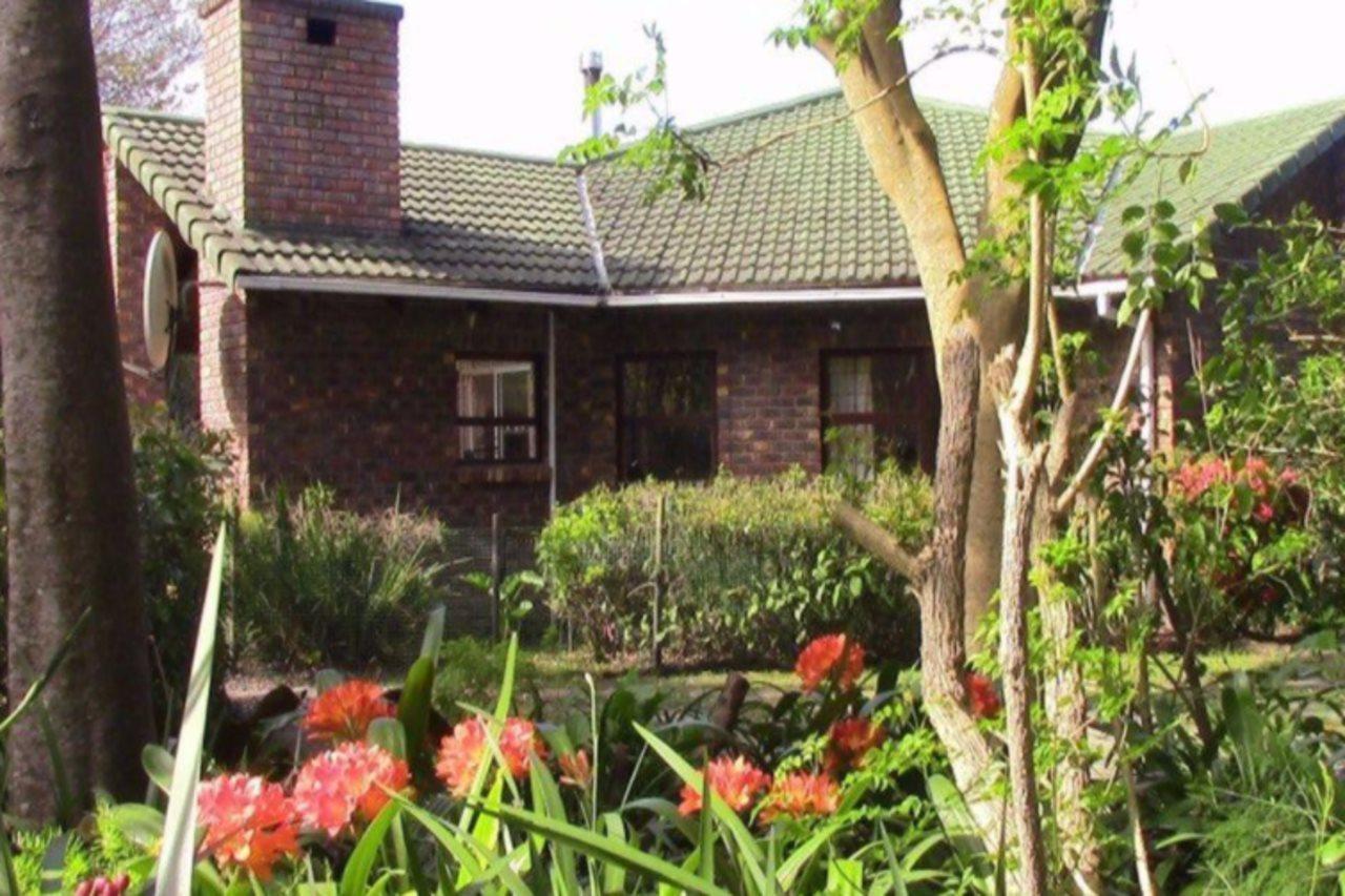 Forest Nest Cottage, Tsitsikamma Stormsrivier Kültér fotó