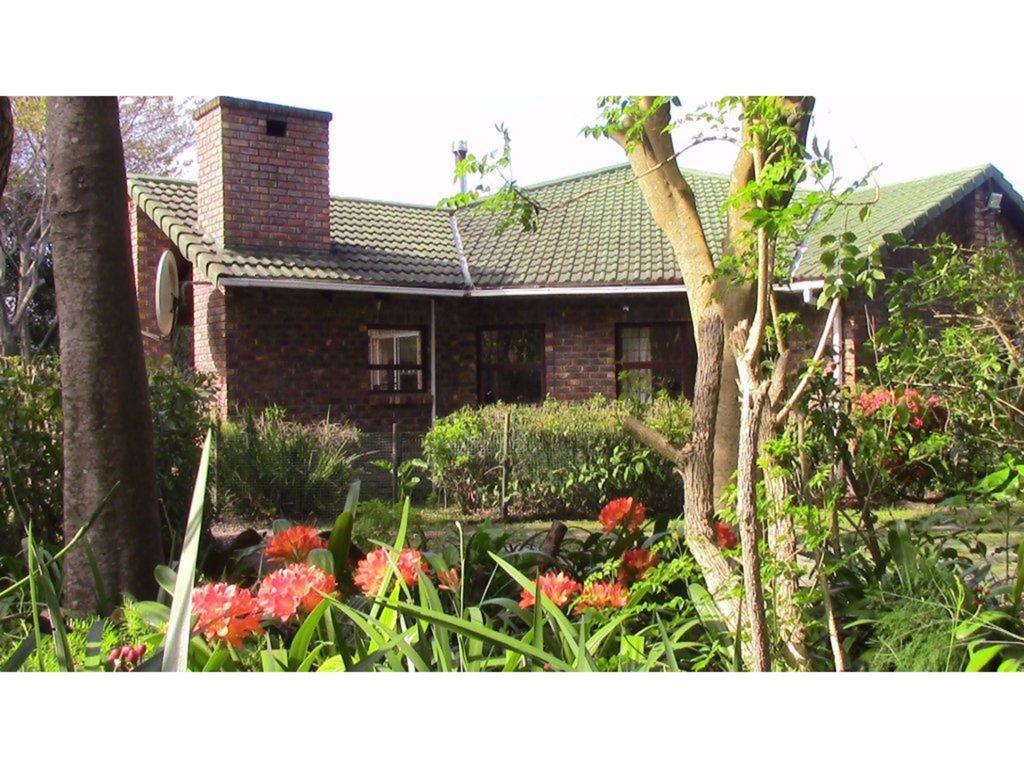 Forest Nest Cottage, Tsitsikamma Stormsrivier Kültér fotó