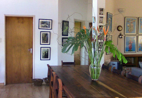 Forest Nest Cottage, Tsitsikamma Stormsrivier Kültér fotó